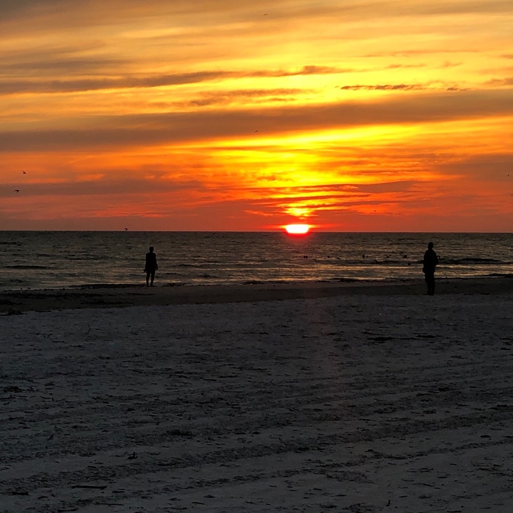 Meet your Posher, Selena